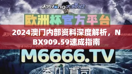 2024澳门内部资料深度解析，NBX909.59速成指南