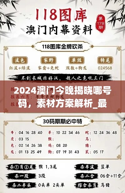 2024澳门今晚揭晓哪号码，素材方案解析_最终版FLN148.38