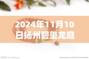 2024年扬州碧玺龙庭最新消息获取全攻略，轻松掌握最新动态