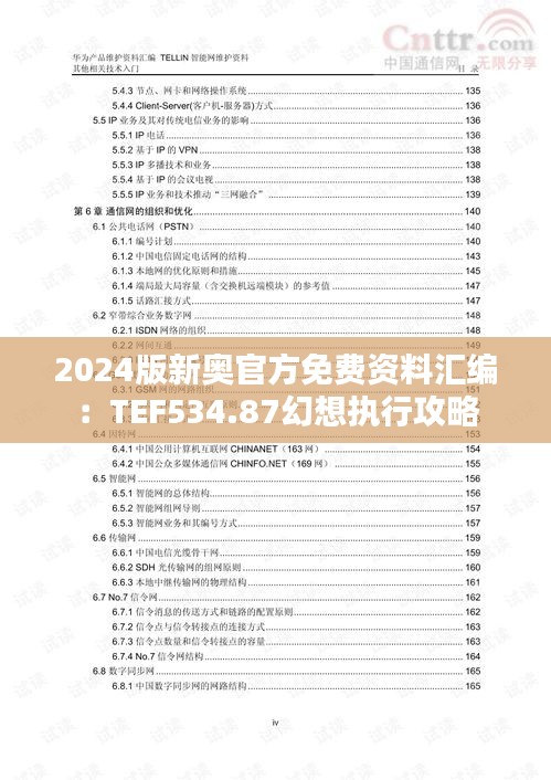 2024版新奥官方免费资料汇编：TEF534.87幻想执行攻略