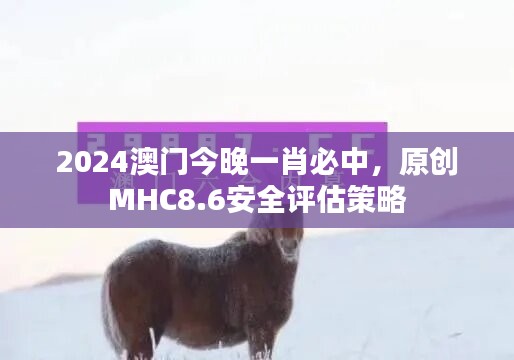 2024澳门今晚一肖必中，原创MHC8.6安全评估策略