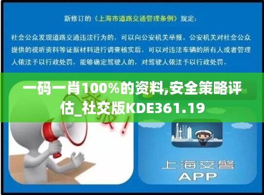 一码一肖100%的资料,安全策略评估_社交版KDE361.19