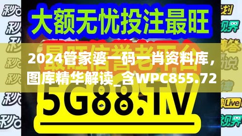 2024管家婆一码一肖资料库，图库精华解读_含WPC855.72版