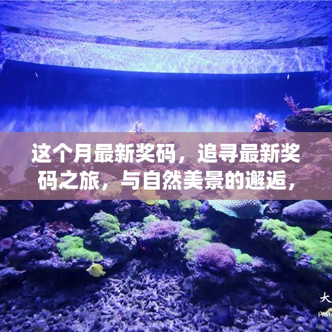 最新奖码探寻之旅，与自然美景的邂逅，寻找内心的平和静谧