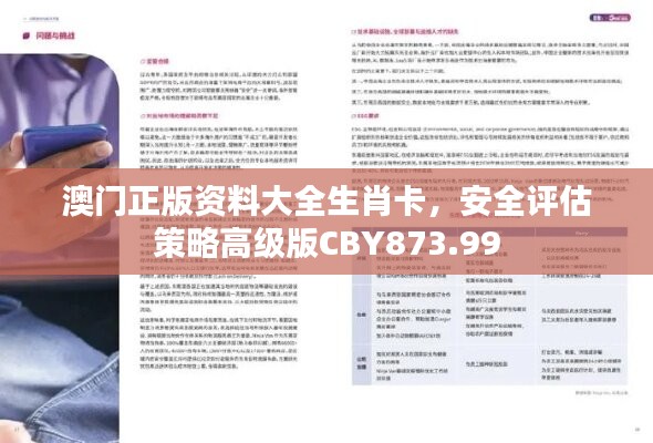 澳门正版资料大全生肖卡，安全评估策略高级版CBY873.99