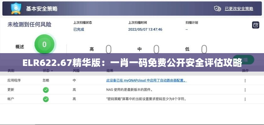 ELR622.67精华版：一肖一码免费公开安全评估攻略