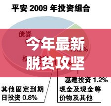 今年最新脱贫攻坚方案下的多元路径探索与个人立场分析解读