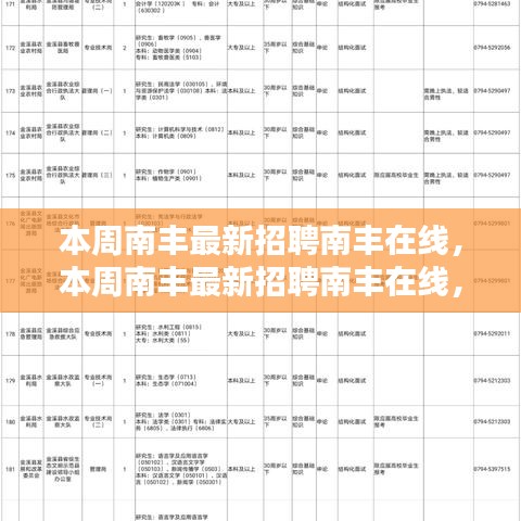 本周南丰最新招聘南丰在线，全面评测与详细介绍