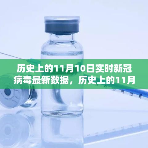 历史上的11月10日新冠病毒实时数据解析与查询指南，最新数据与查询步骤指南