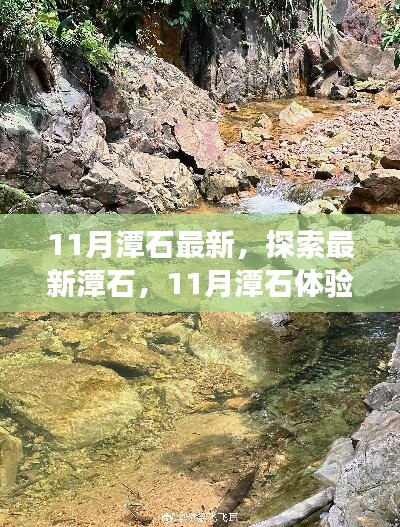 11月潭石最新体验之旅，详细步骤指南与探索潭石魅力