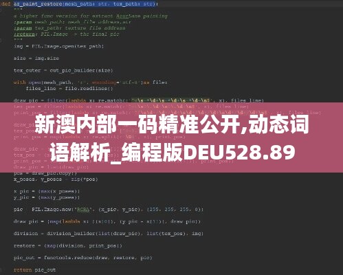 新澳内部一码精准公开,动态词语解析_编程版DEU528.89