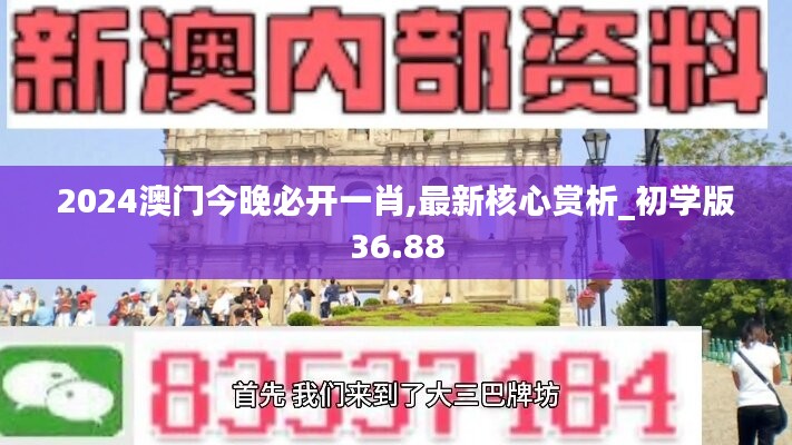 2024澳门今晚必开一肖,最新核心赏析_初学版36.88