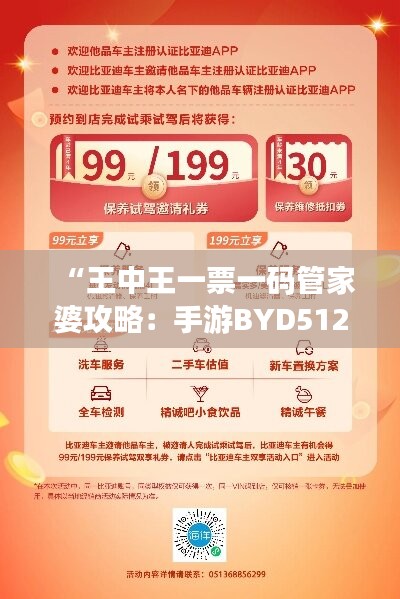 “王中王一票一码管家婆攻略：手游BYD512.75版解析及热门解答”