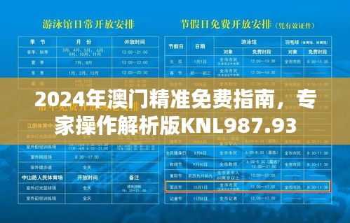 2024年澳门精准免费指南，专家操作解析版KNL987.93