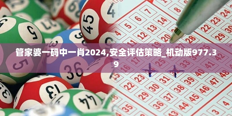 管家婆一码中一肖2024,安全评估策略_机动版977.39