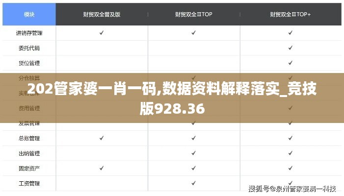 202管家婆一肖一码,数据资料解释落实_竞技版928.36