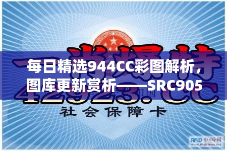 每日精选944CC彩图解析，图库更新赏析——SRC905.09智慧版