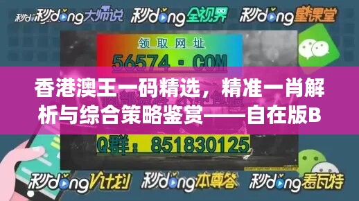 香港澳王一码精选，精准一肖解析与综合策略鉴赏——自在版BNM17.97