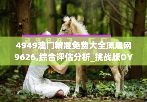 4949澳门精准免费大全凤凰网9626,综合评估分析_挑战版OYL616.62