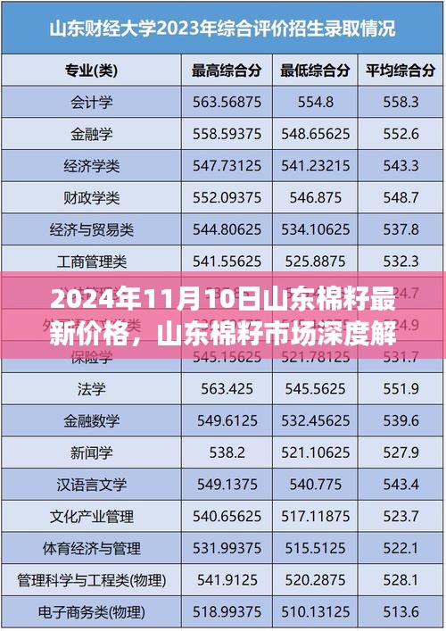 山东棉籽市场深度解析与最新价格动态探讨（2024年最新版）