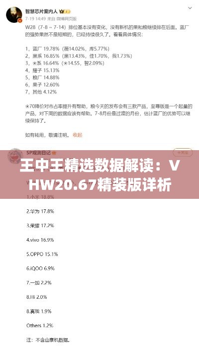 王中王精选数据解读：VHW20.67精装版详析