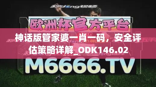 神话版管家婆一肖一码，安全评估策略详解_ODK146.02