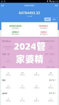 2024管家婆精准一码一肖，全新解析_升级版BMV48.65攻略