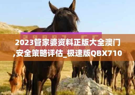 2023管家婆资料正版大全澳门,安全策略评估_极速版QBX710.64