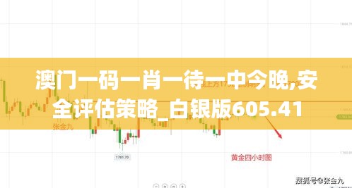 澳门一码一肖一待一中今晚,安全评估策略_白银版605.41