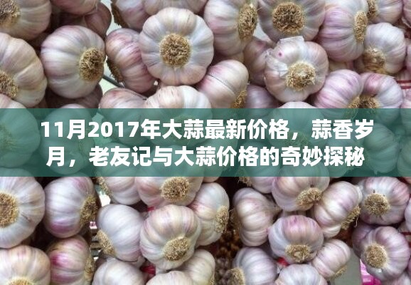 大蒜探秘，2017年11月最新价格与老友记的蒜香岁月