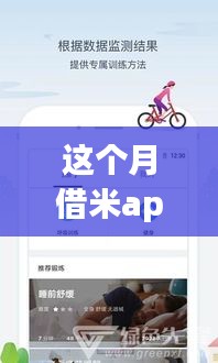 这个月借米App最新版使用详解，从入门到精通指南