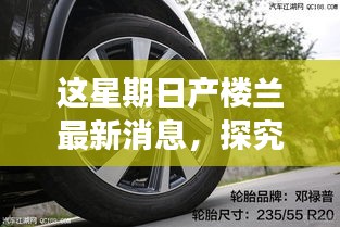 本周日产楼兰最新动态揭秘，新消息、观点解析与个人立场阐述