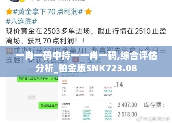 一肖一码中持一一肖一码,综合评估分析_铂金版SNK723.08