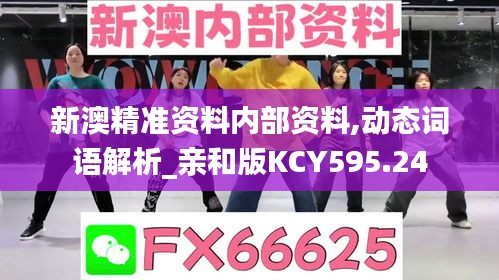 新澳精准资料内部资料,动态词语解析_亲和版KCY595.24