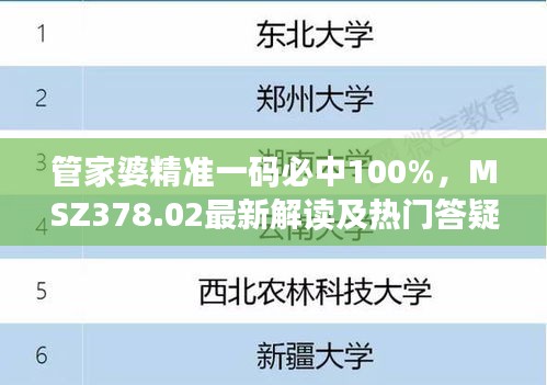 管家婆精准一码必中100%，MSZ378.02最新解读及热门答疑