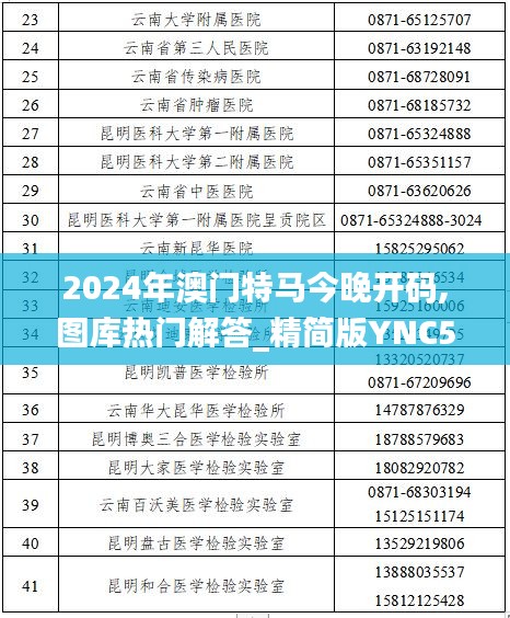 2024年澳门特马今晚开码,图库热门解答_精简版YNC528.68