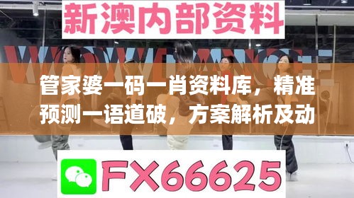 管家婆一码一肖资料库，精准预测一语道破，方案解析及动态素材攻略_神秘版OVY67.32