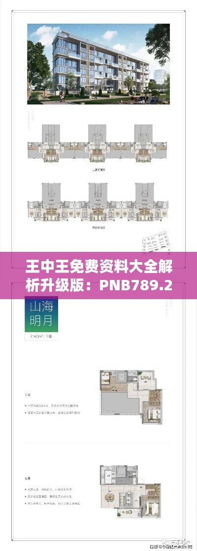 王中王免费资料大全解析升级版：PNB789.22全面揭秘