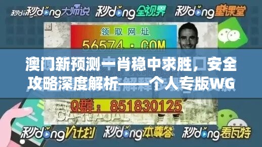 澳门新预测一肖稳中求胜，安全攻略深度解析——个人专版WGK356.54