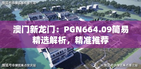 澳门新龙门：PGN664.09简易精选解析，精准推荐