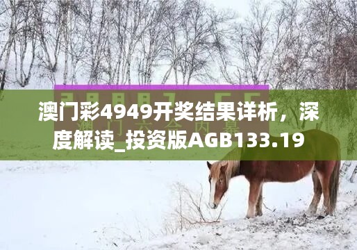 澳门彩4949开奖结果详析，深度解读_投资版AGB133.19