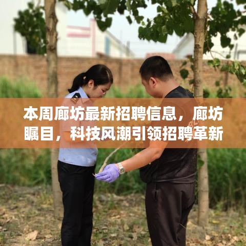 廊坊科技风潮引领招聘革新，最新招聘信息重塑职场体验