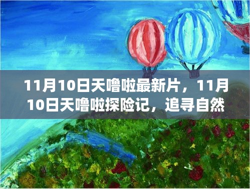 追寻自然美景的奇妙旅程，11月10日天噜啦最新探险片