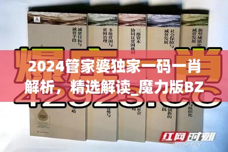 2024管家婆独家一码一肖解析，精选解读_魔力版BZX41.78