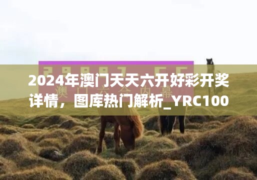 2024年澳门天天六开好彩开奖详情，图库热门解析_YRC100.77幻想版