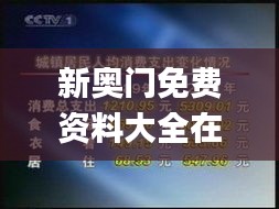 新奥门免费资料大全在线查看,专业执行问题_终身版NHC328.47