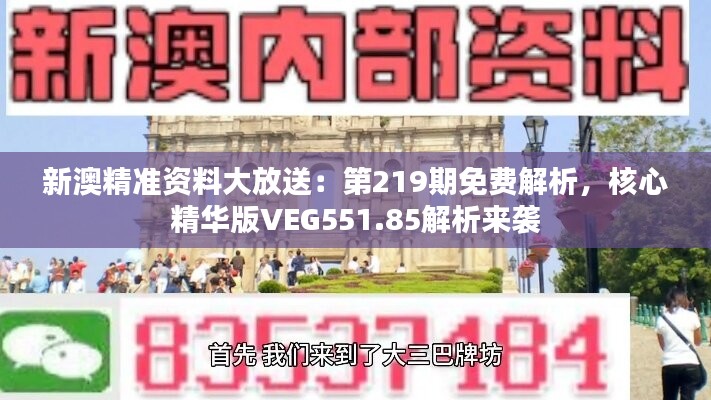 新澳精准资料大放送：第219期免费解析，核心精华版VEG551.85解析来袭