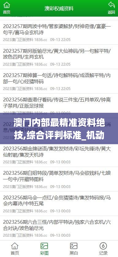 澳门内部最精准资料绝技,综合评判标准_机动版EZQ305.62