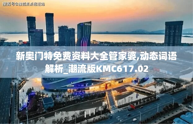 新奥门特免费资料大全管家婆,动态词语解析_潮流版KMC617.02