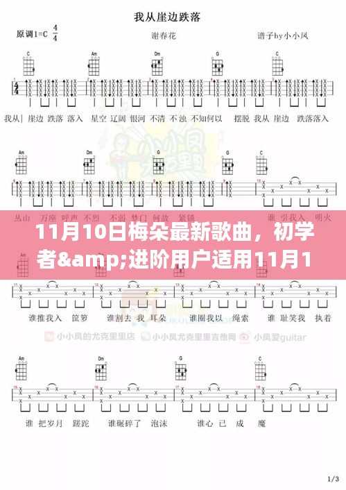 初学者与进阶用户必备，11月10日梅朵最新歌曲获取与欣赏全攻略